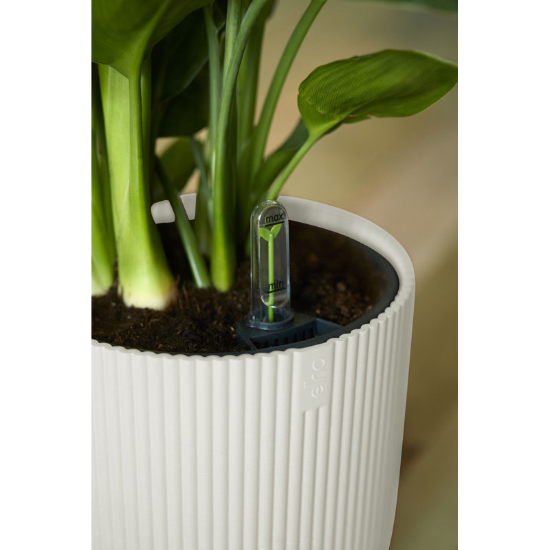 Pot Planter, Silky White, 27.2cm H x 29.5cm W x 29.5cm D