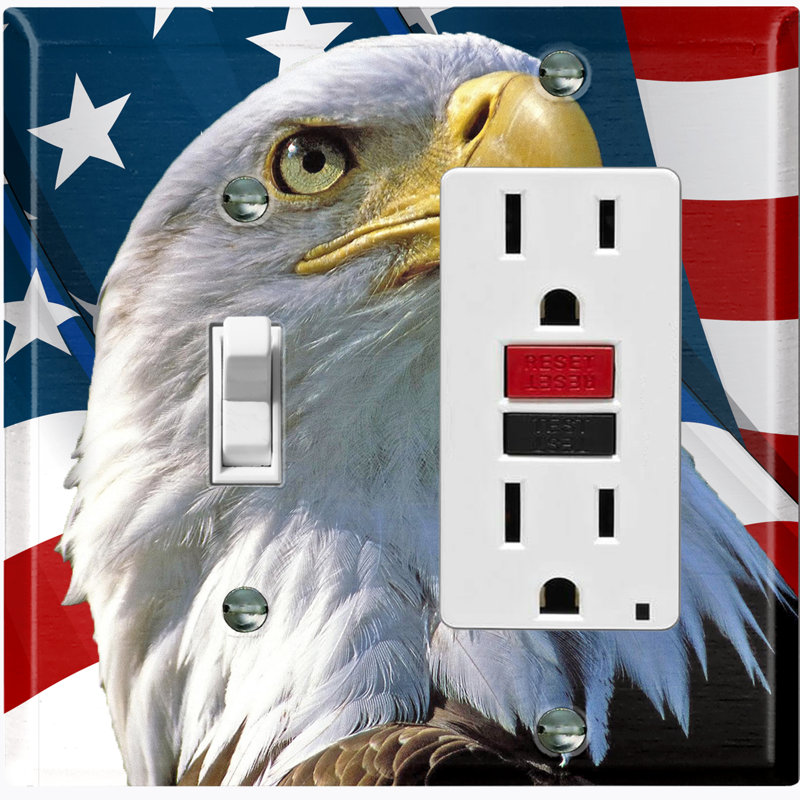 Patterned 2 - Gang Toggle Light Switch Standard Combination Wall Plate