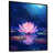 Black Floater Framed