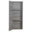 Armoire à pharmacie murale avec tablettes réglables l 12 po x H 30 po Kato-1612039767