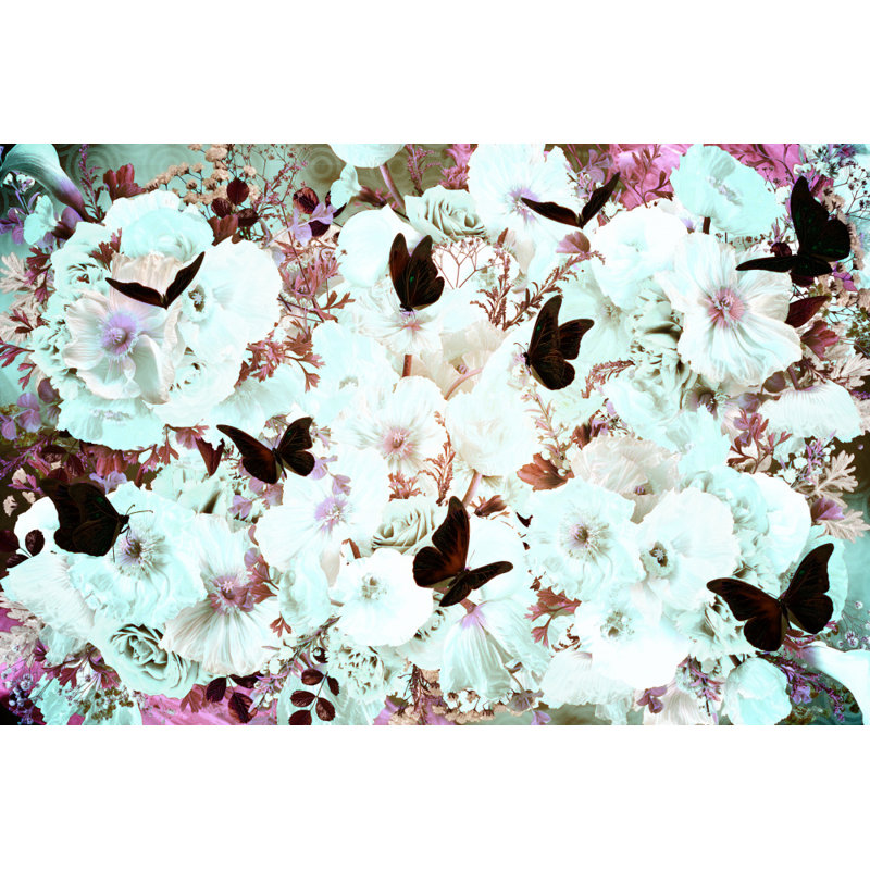 Wrapped Canvas Print, 50.8 cm H x 76.2 cm W