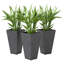 Pot de fleurs, pots de 28 po de hauteur, ensemble de 3 pots de fleurs en plastique avec trous de drainage-412304985