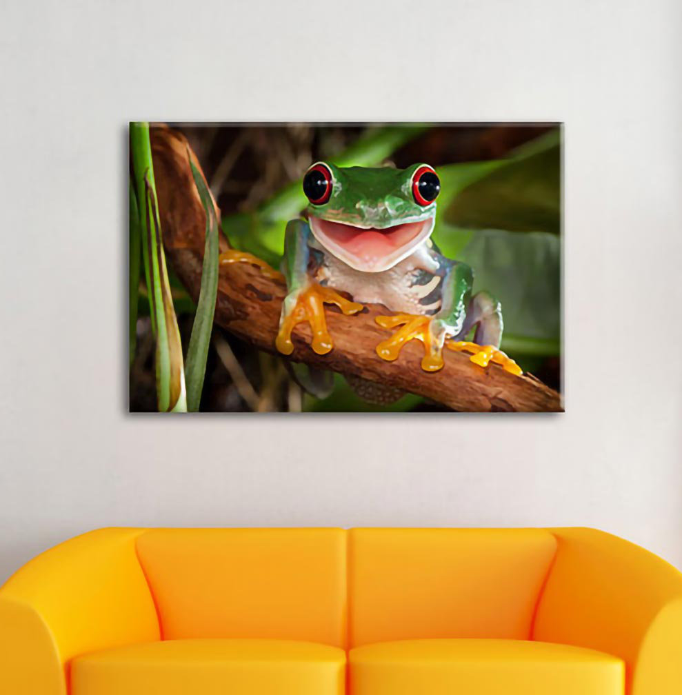 Fotodruck Lachender Frosch mit roten Augen auf Ast