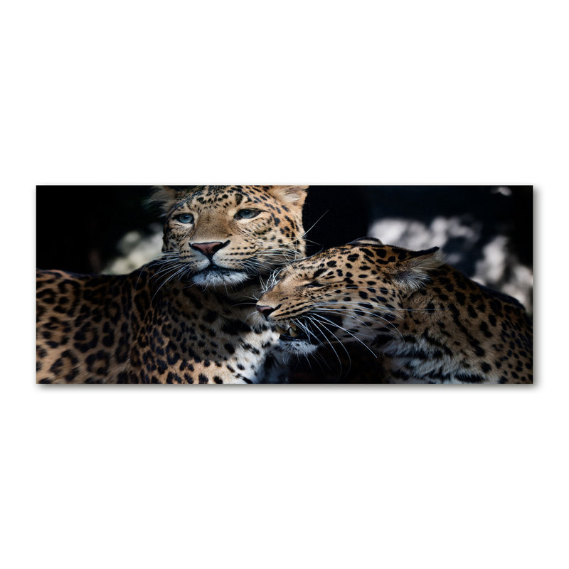 Two Leopards - Wrapped Canvas Print