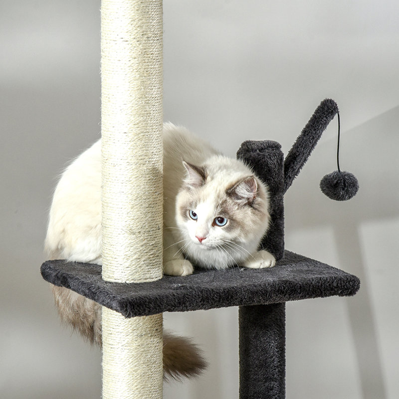 Jouet pour chat Pawhut