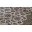 Chelsea Wool Oriental Area Rug