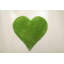 Tapis vert touffeté Medota