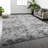 Gernie 5' x 7' Area Rug Ultra Soft Fluffy Furry Carpet