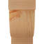 Corbeau alpin-1059789619-1059789693-1059789617