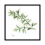 « thyme », reproduction d’art sur toile-20820160-72799976-72799981