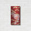 «Chrysanthemum II» par Zigo Tanabe-884179613