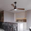 Ventilateur de plafond à profil bas 48 po DC 3