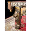 Table de billard 8 '(ardoise) Monarch