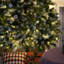White Sprayed Christmas Tree With Pinecones-1277815787-1277815780
