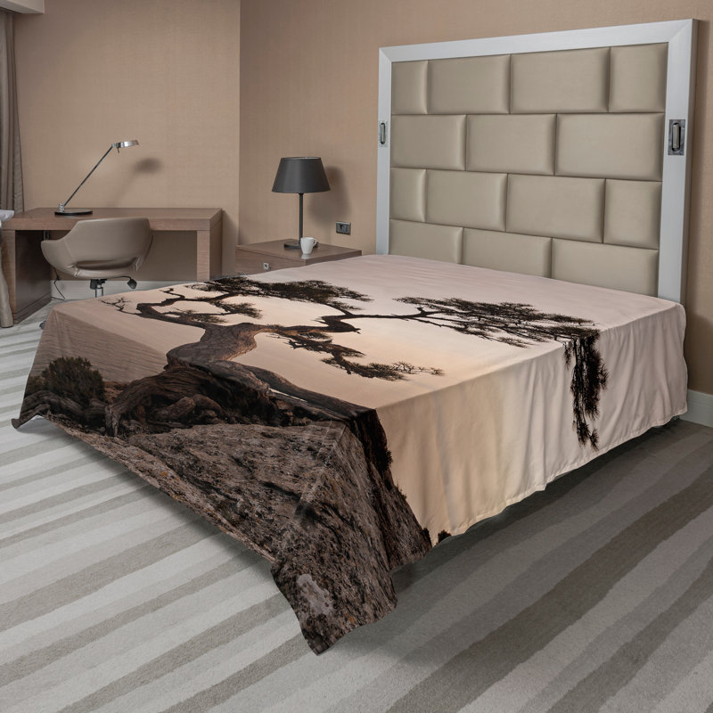 Ambesonne Tree Top Flat Sheet Lonely Juniper Tree Fall Queen Brown Grey