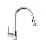 Edison Single Handle Kitchen Faucet with Side Spray and Accessories