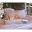 Drap-housse et coussin décoratif Ambesonne-106786823