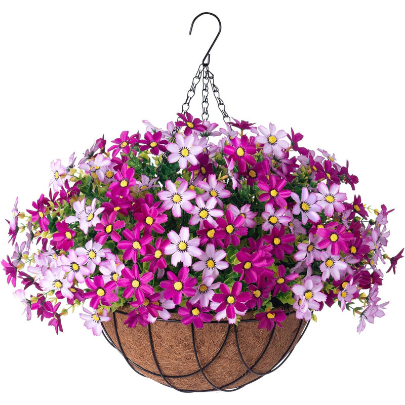 Arrangement de marguerites, Violet