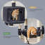 143cm H Cat Tree-605579364