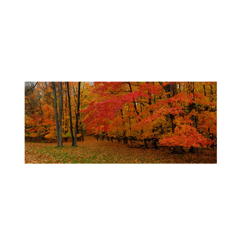 « ohio », photographie sur toile tendue Halke, H 10 po x l 19 po x P 2 po