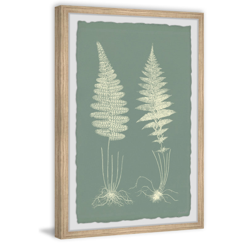 Ferns On Sage VI by Marmont Hill - Single Picture Frame Painting, 20cm H x 30cm W