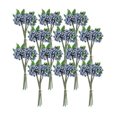 Berry Bundle