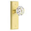 Poignée de porte de porte octogonale en cristal satiné et laiton satiné-121458002-123514356