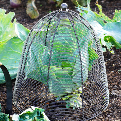 Wired Plant Protector