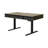 Caisen Standing Desk with Power Outlet