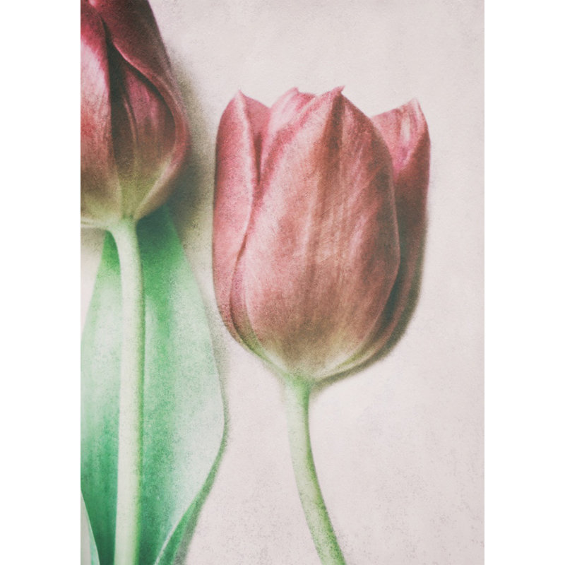 Wrapped Canvas Print, 50.8 cm H x 76.2 cm W