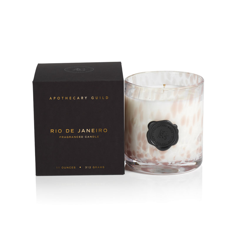 Apothecary Guild Opal Rio De Janeiro Scented Jar Candle with Glass Holder