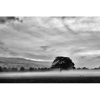 Misty Weather IV