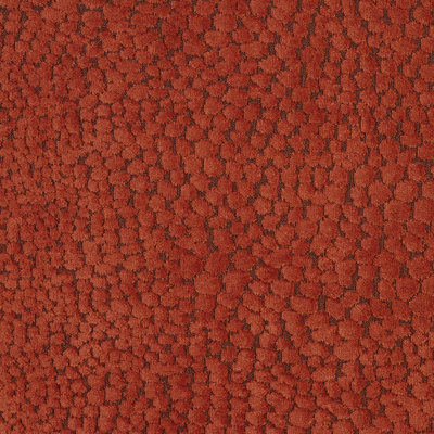 Boutique Fabric