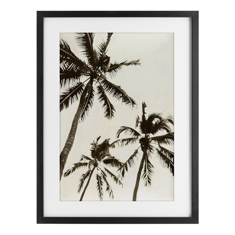 «Classic Palm Trees», reproduction encadrée sous verre, design par LSR Design Studio, H 20 po x l 14 po, Cadre noir minuit