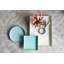 10” Round Plastic Tray with Powder Blue Finish, Decorative Accent Tray for Organization, Serving, or Centerpiece Display -425226769