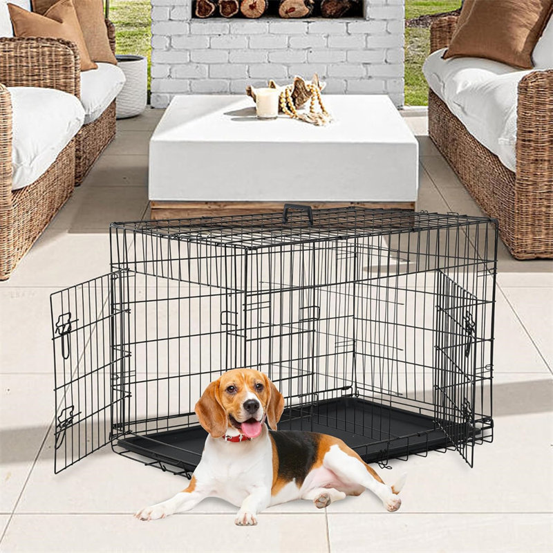 Caisse pour chien pliante en métal avec portes doubles, plateau et cloison, noir