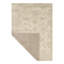 Oriental Area Rug in Ivory