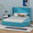 Arenberg Upholstered Queen Storage Bed-231068079