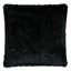 Talena Pillow Cover & Insert-2115038881
