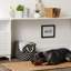 Panier en tissu Lattice Paw-261337377-261337401