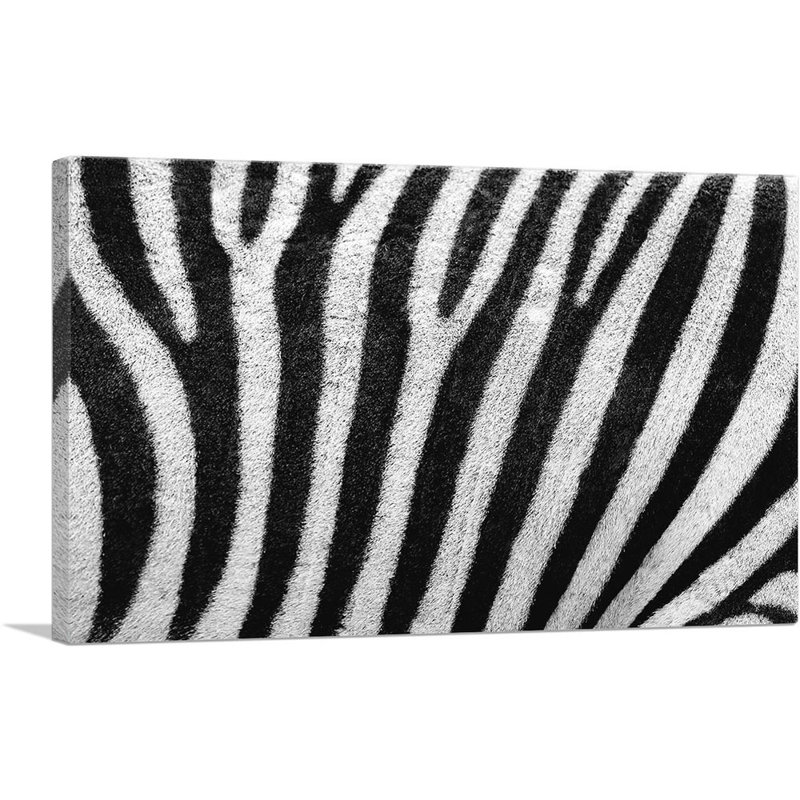Zèbre rayée - impression sur toile tendue, H 12 po x l 18 po x P 0,75 po