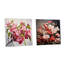 Pomme rose en fleur Elegance-103922912