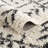 Adein Shaggy Farmhouse Beige/Black Area Rug-651545515