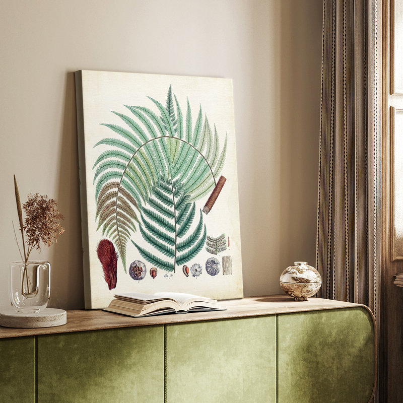 Collection de fougères I - galerie sur mesure, H 27 po x l 18 po