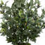 Olive Tree Artificial in Fiberstone Planter