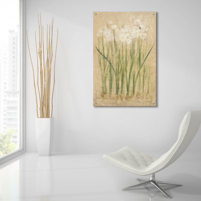 'Narcissus'  by Cheri Blum Acrylic Glass Wall Art