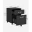 54.4cm Wide 2 -Drawer Mobile File Cabinet