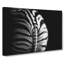 Rear Of A Zebra - Wrapped Canvas-55322353