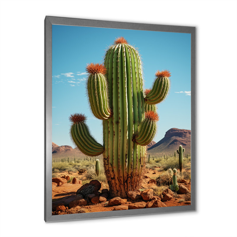 Leonisha, corail vert, cactus du désert, orgue I sur toile, Cadre photo argenté, H 32 po x l 24 po x P 1 po