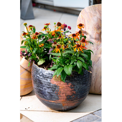 Alessio Metal Pot Planter